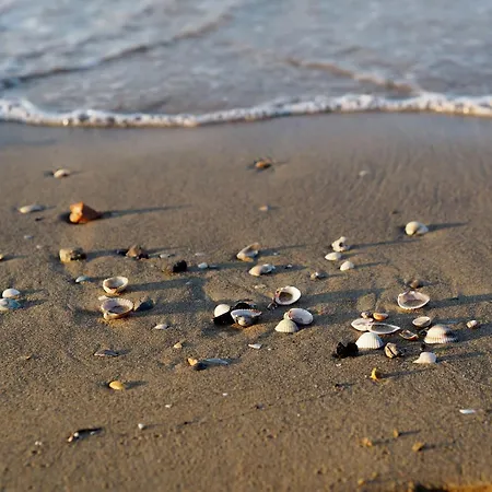 Embrace The Sea Breeze In * Bibione