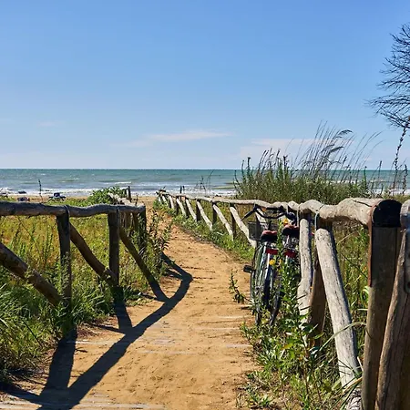 Embrace The Sea Breeze In